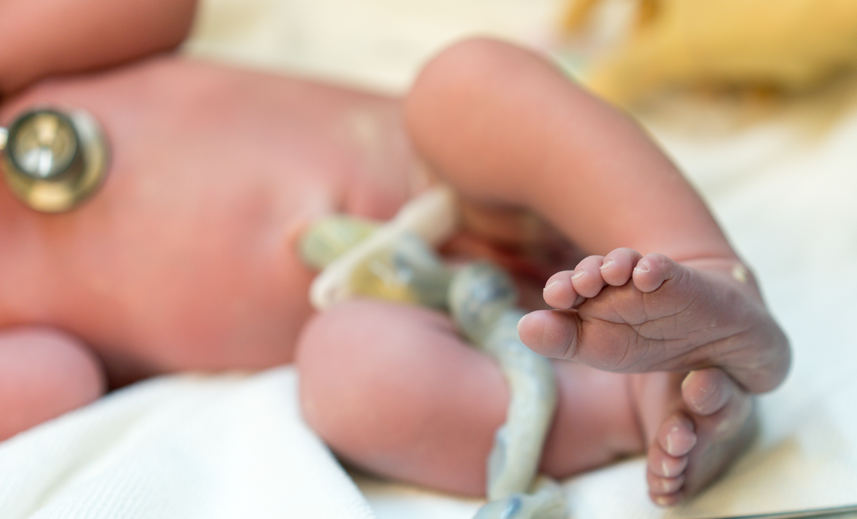 08/10 – Dia Nacional de Doação de Cordão Umbilical