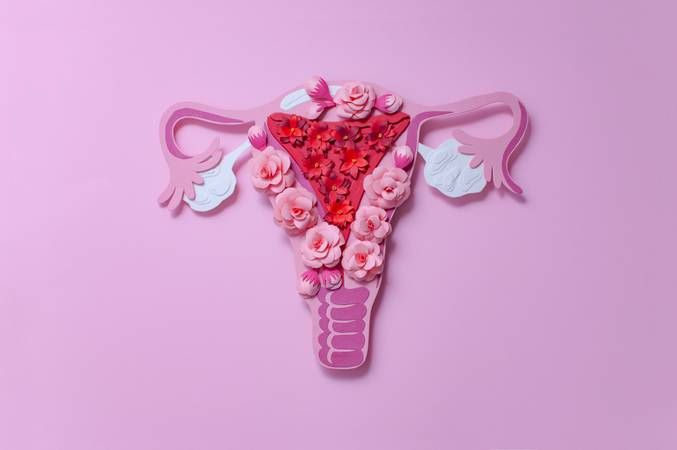 07/05 – Dia Internacional da Luta contra a Endometriose