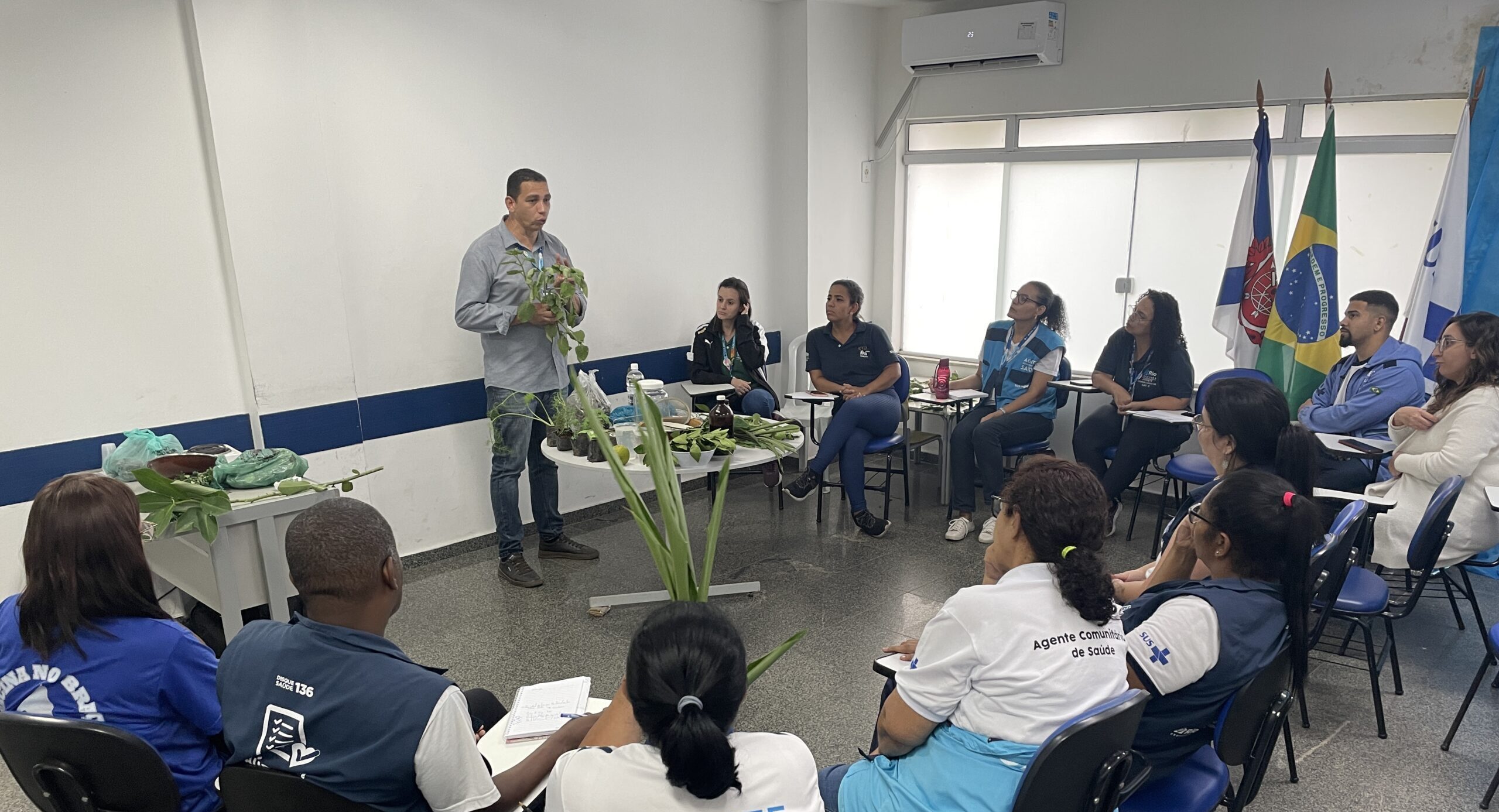 O Uso de Plantas Medicinais na Promoção da Saúde