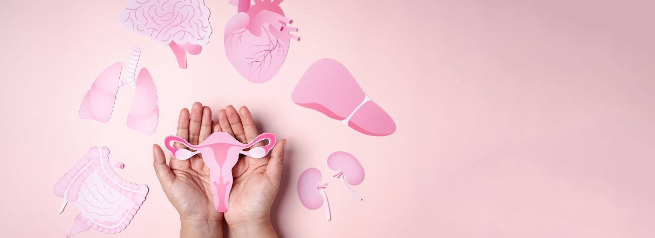 Dia Internacional de Luta Pela Saúde da Mulher