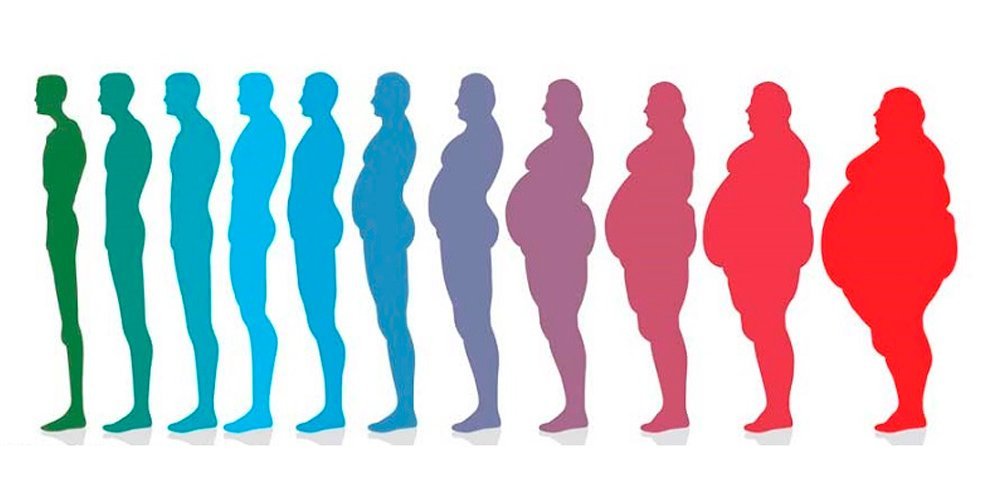 Dia Nacional de Prevenção da Obesidade