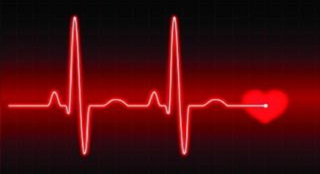 Dia Mundial do Coração