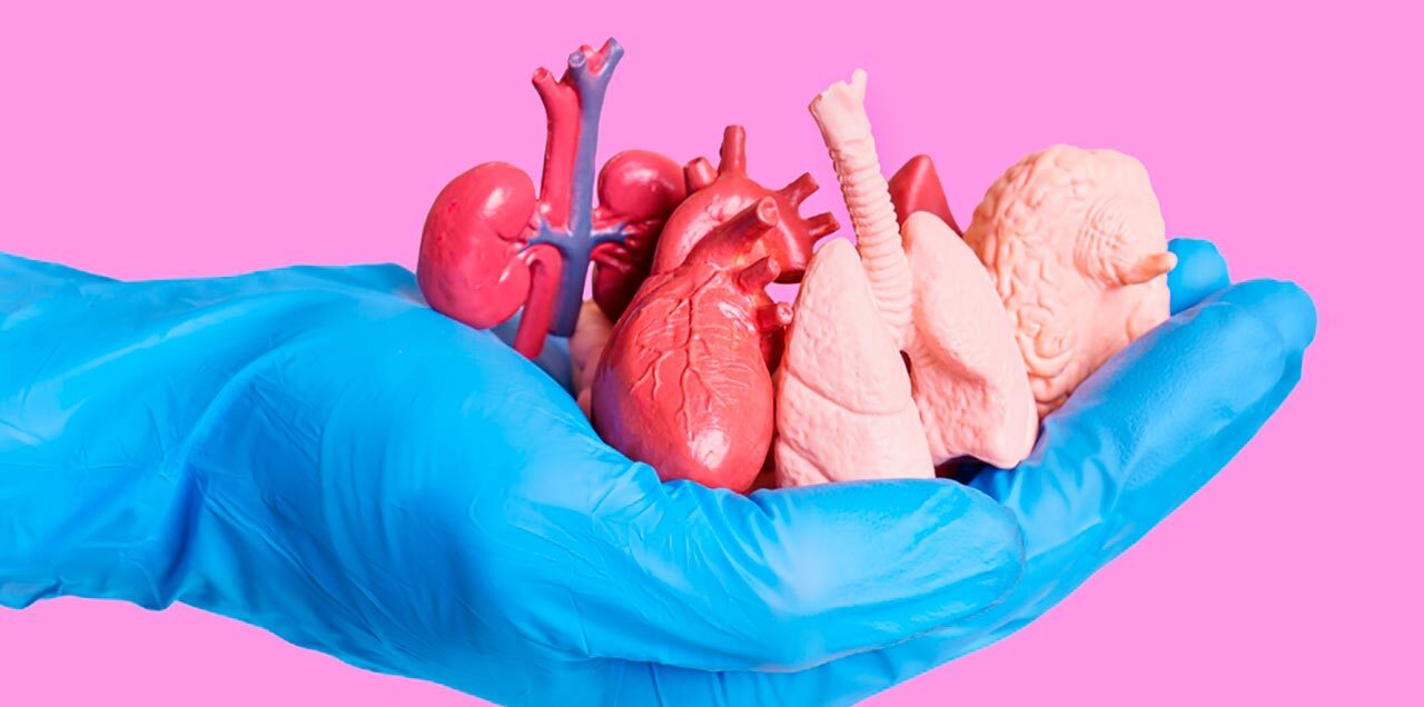 Dia Nacional de Doação de Órgãos