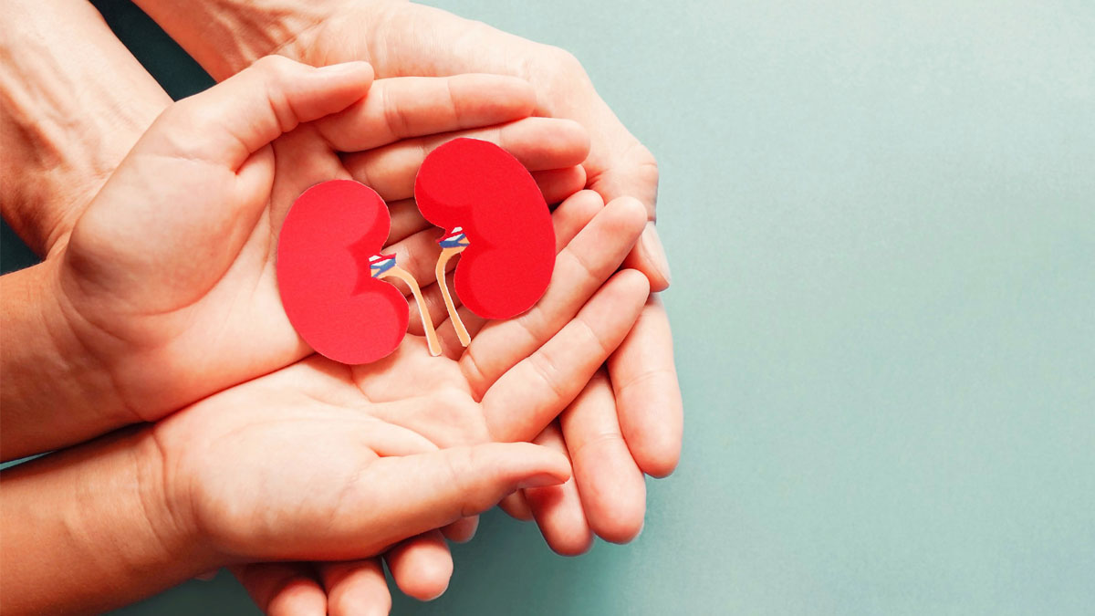 Dia Mundial do Rim